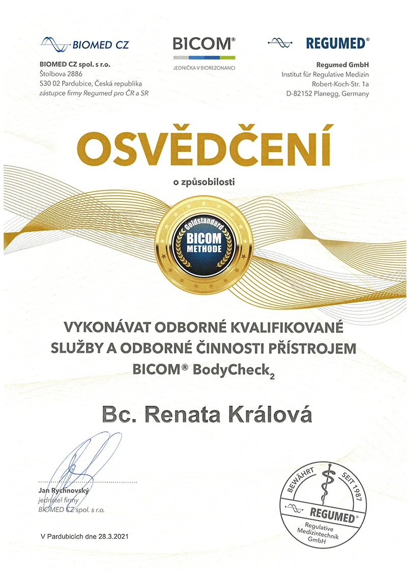 cert-kralova-03