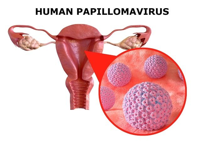 human-papillomavirus-hpv